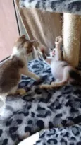 Bruno & Valentina