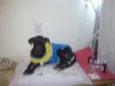 Menina
