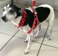 Encontrada