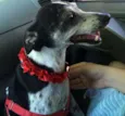 Encontrada