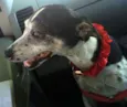 Encontrada