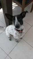 Ísis Mikaella
