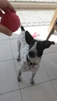 Ísis Mikaella