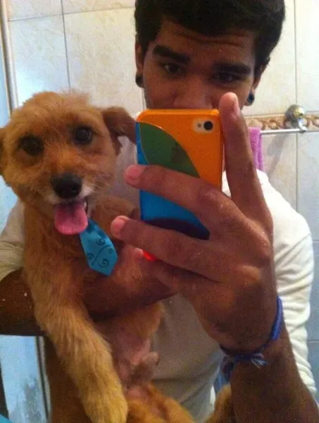 Cachorro ra a Vira lata idade 3 anos nome Jasper