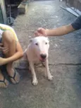 princesa