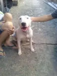 princesa