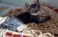Théo
