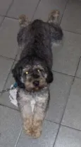 Breno