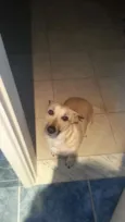 MIMI