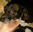 Milly