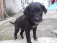 ITAQUAQUECETUBA