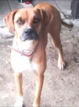 kira