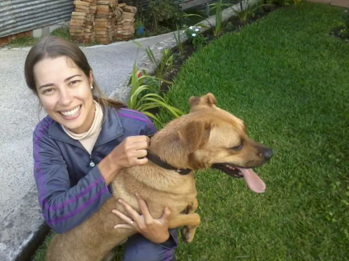 Cachorro ra a SRD idade  nome ASLAM