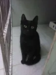 Mônica
