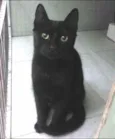 Mônica