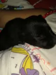 Spike