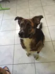 Yukio