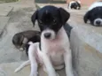 Não possui nome ainda