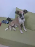 lola