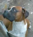 Buana e Said