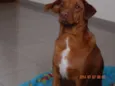 Keni