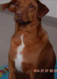 Keni