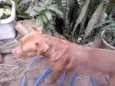 Vitória