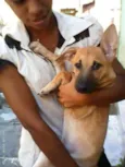 nita e july e neguinha