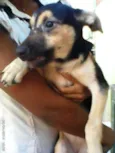 nita e july e neguinha