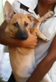 nita e july e neguinha