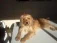 Lalita