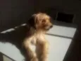 Lalita