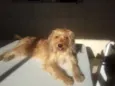 Lalita