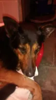 Duke