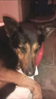 Duke