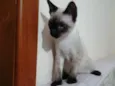 Jerry