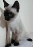 Jerry
