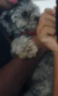 luki