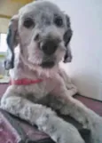 Linda