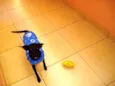 Luma