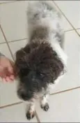 Não sei
