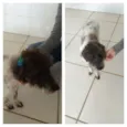 Não sei