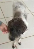 Não sei