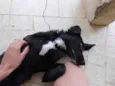 Kuru