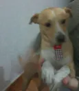RAimundo