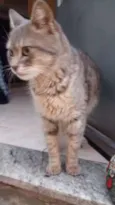 BIA
