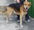 João