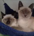 FLIP & FLOP