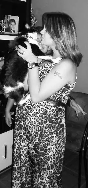 Gato raça vira-lata idade 3 anos nome alice