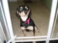Lili